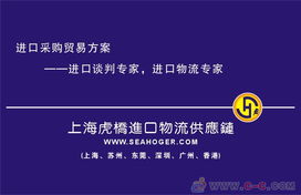 专业护航，高效通关 上海进口报关代理服务全解析