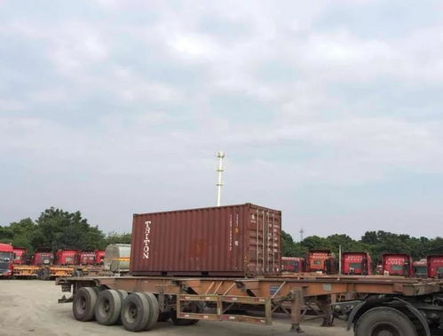 盐田报关行 专业高效，服务周到的普货报关专家