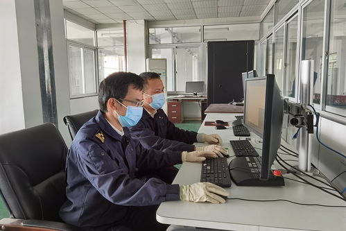 祖母绿进口报关代理 精于通透之翠，卓于通关之道